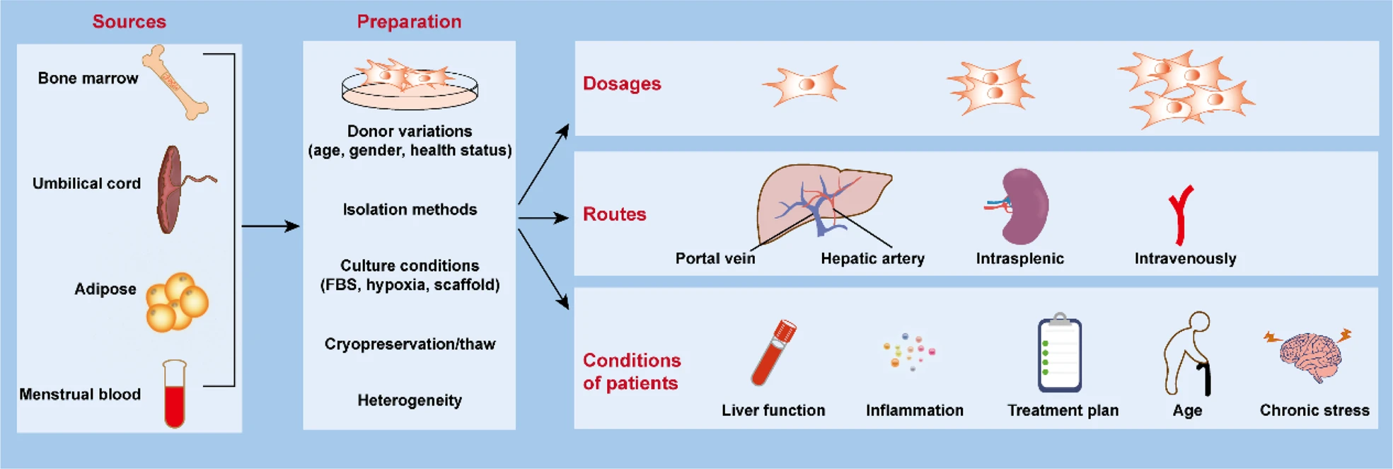 间充质干细胞治疗肝纤维化/肝硬化中的作用:从发病机制到临床应用 5 微信图片 2025 12 01 162633 554