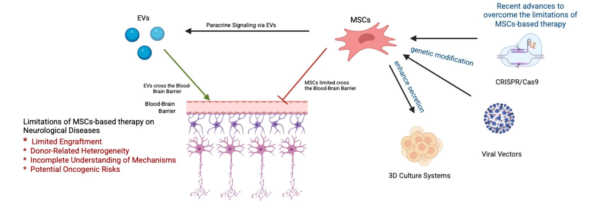 跨越瓶颈,迎接曙光:盘点间充质干细胞治疗神经系统疾病的老问题与新机遇 2 微信图片 2025 12 02 115302 586