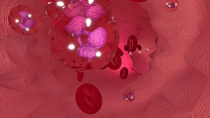 干细胞回输后去哪了?一份揭示前72小时到6个月修复进程的科学时间表 2 微信图片 2025 12 15 162110 815