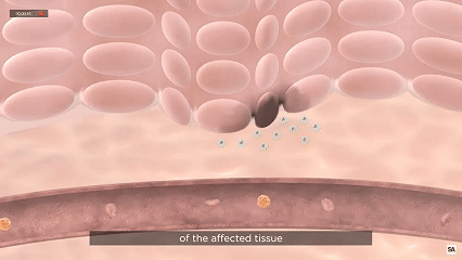 干细胞回输后去哪了?一份揭示前72小时到6个月修复进程的科学时间表 3 微信图片 2025 12 15 162114 049