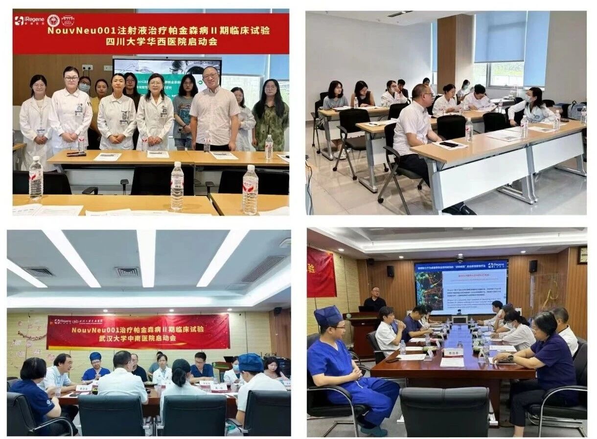 16项临床试验揭示胚胎与诱导多能干细胞治疗帕金森病的前景:多巴胺细胞疗法正推进 16 微信图片 2025 12 18 123939 910