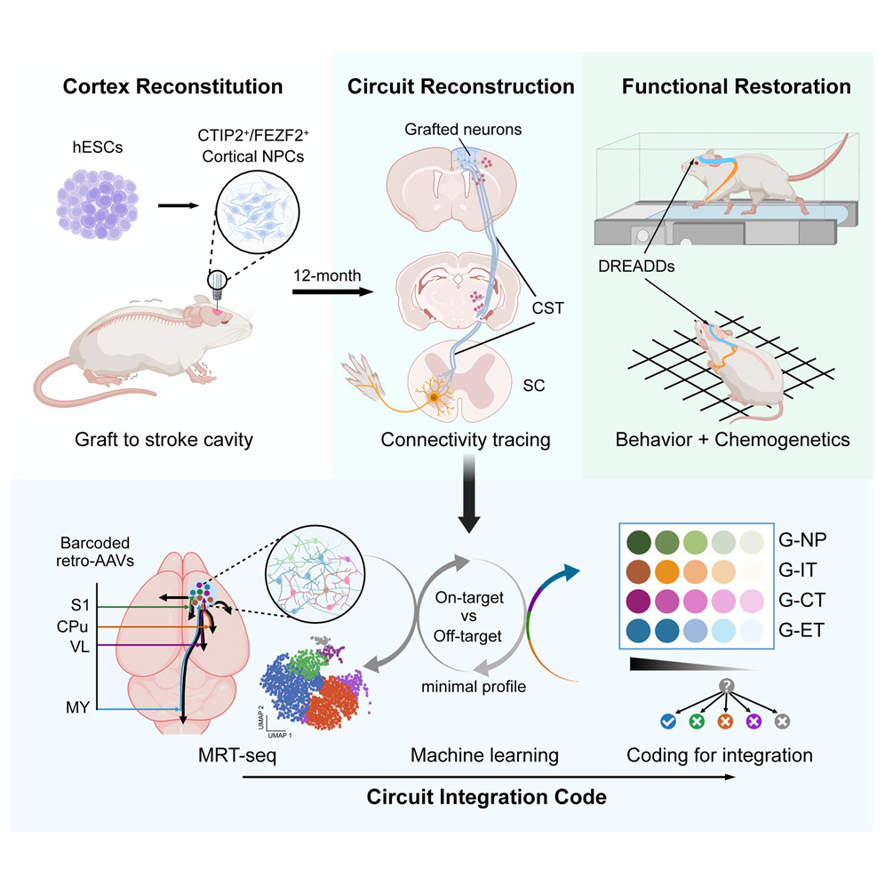 20260126171157 69772fddde1f3