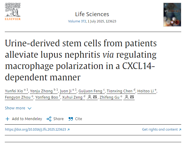 患者尿液来源的干细胞通过CXCL14依赖性方式调节巨噬细胞极化，从而缓解狼疮性肾炎