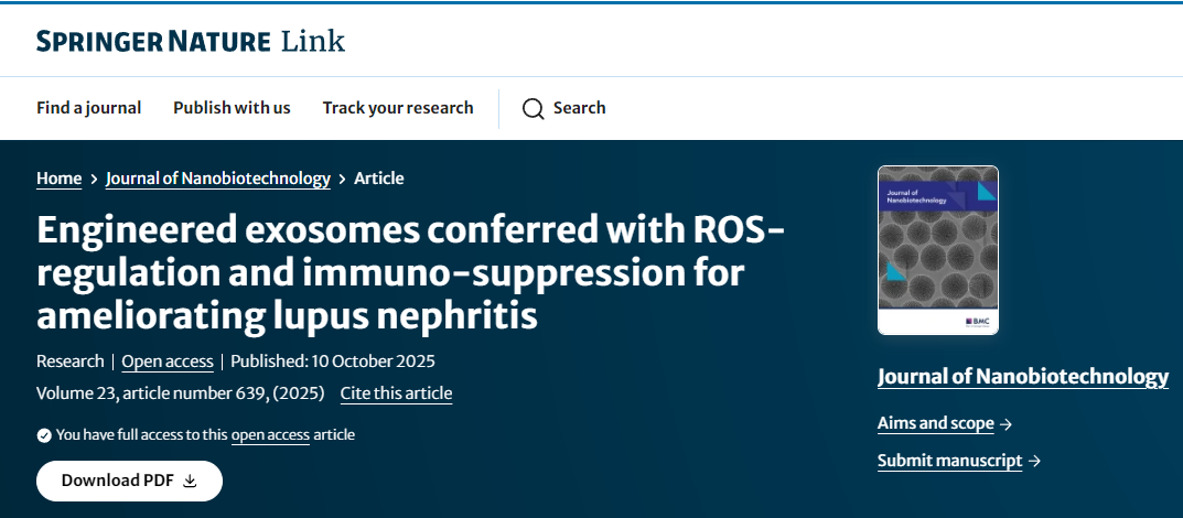 工程化外泌体通过调节活性氧和免疫抑制作用改善狼疮性肾炎
