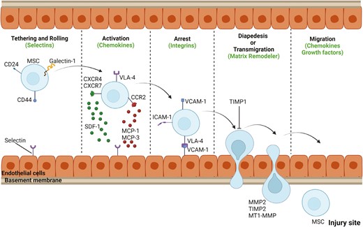 20260126171320 6977303099f77
