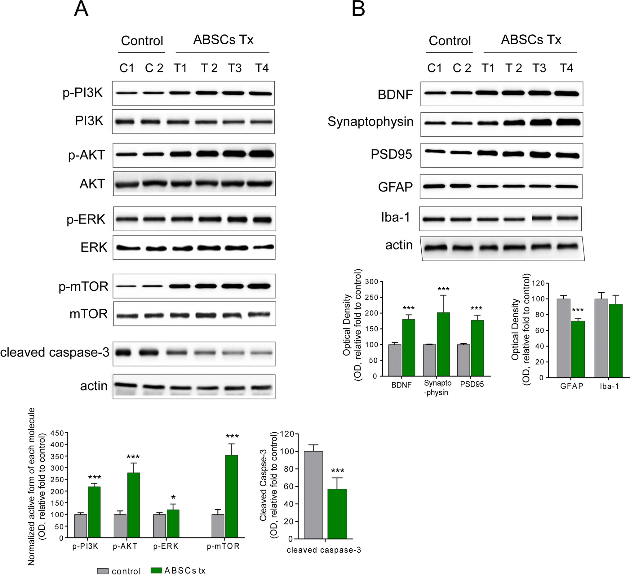 20260126171415 69773067b8ab2