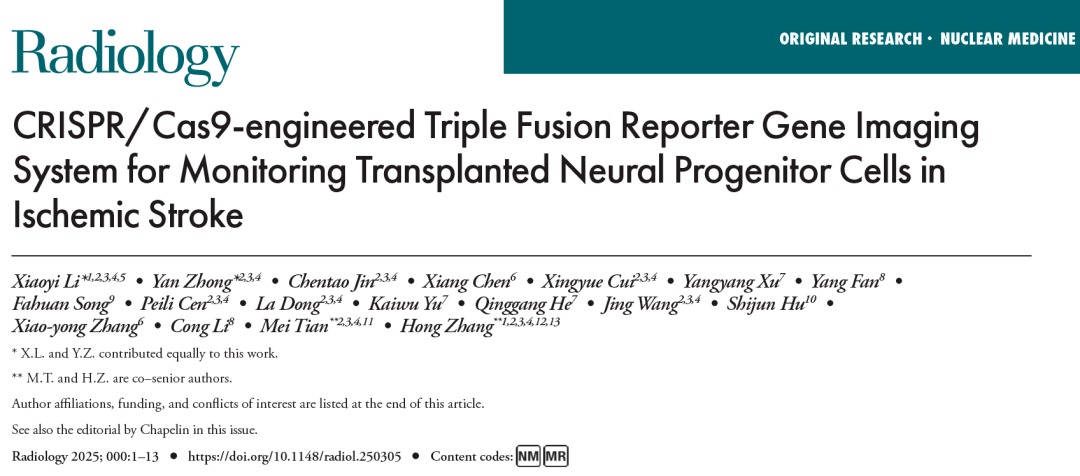 利用 CRISPR/Cas9 技术构建的三融合报告基因成像系统监测缺血性中风中移植的神经祖细胞