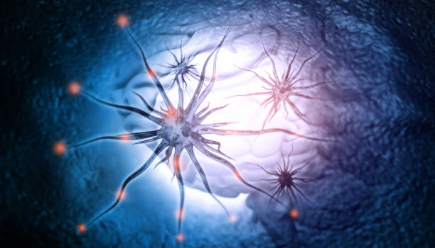 成为治疗帕金森病的新希望！源自神经干细胞外泌体治疗帕金森病的新策略！