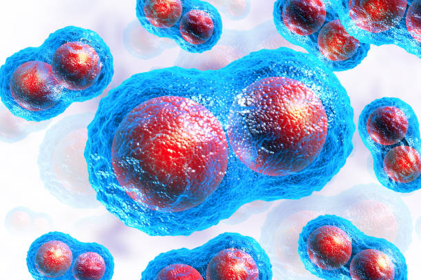 “万能”的代价:间充质干细胞的衰老机制与功能重塑——如何让“老细胞”治“老病”?