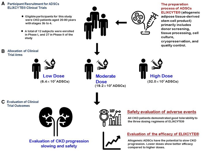 干细胞治疗慢性肾病2期的临床试验获积极结果:低剂量单次给药稳定肾功能且安全性良好 5 szaf076f3