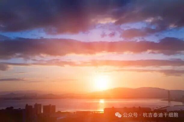 2026年干细胞治疗应用展望:干细胞如何改变当今医学