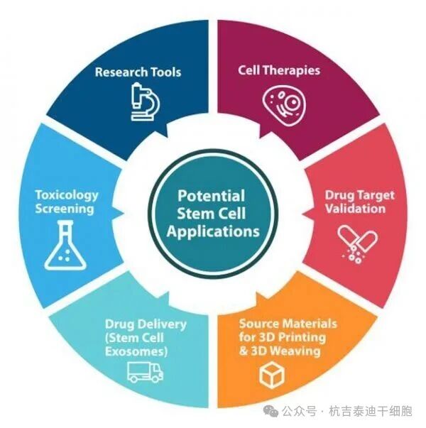 微信图片 2026 01 04 180222 631