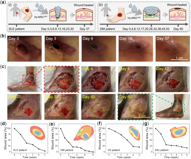 1 s2.0 S2095927325011983 gr6