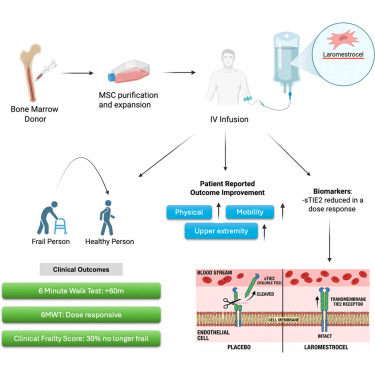 1 s2.0 S1934590926000408