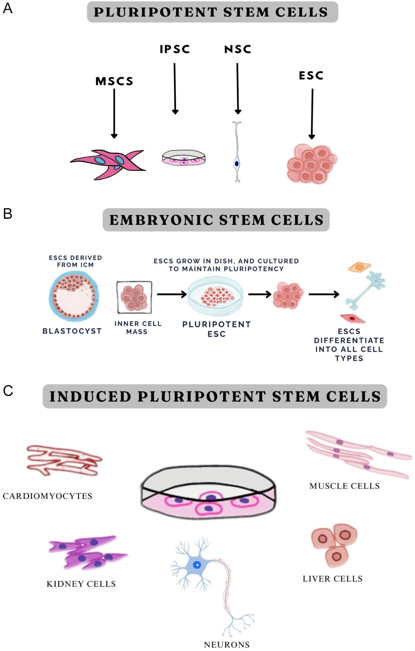 Original.01845215 202602000 00043.F1