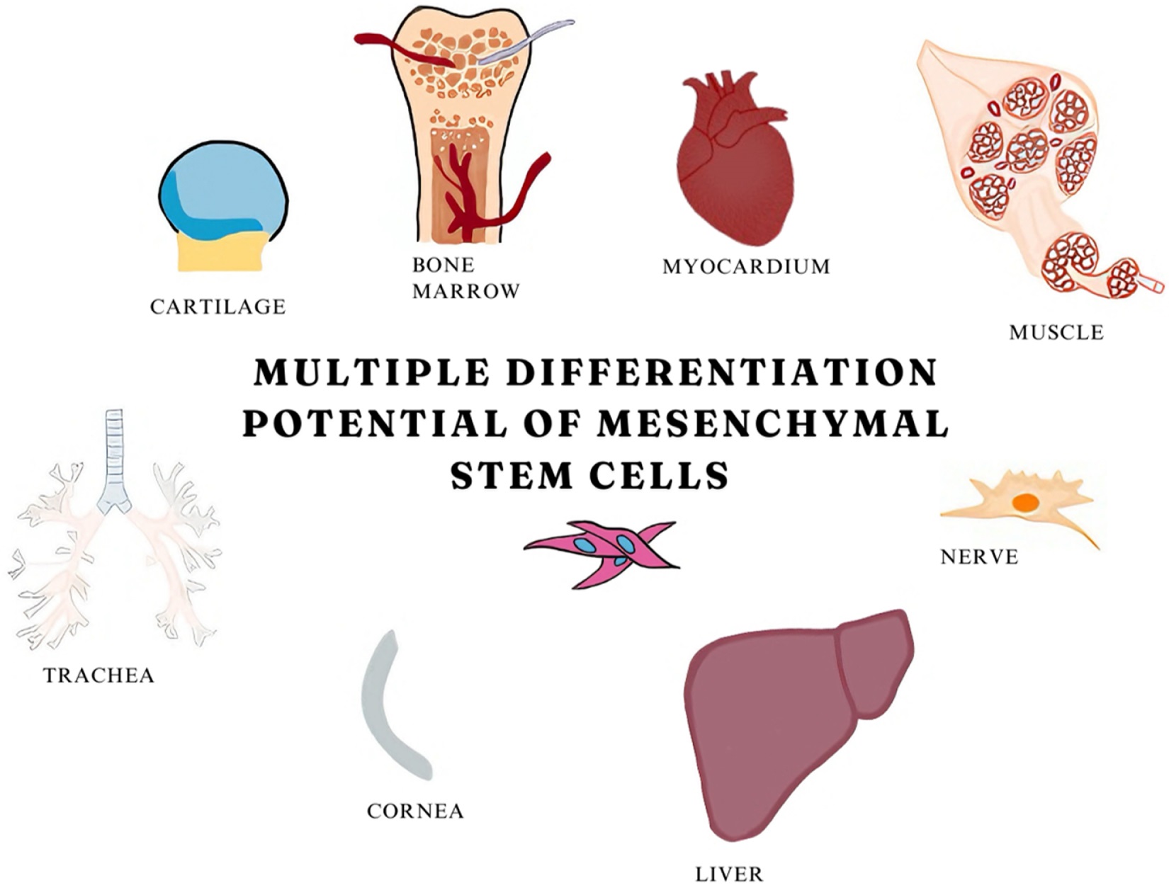 Original.01845215 202602000 00043.F2