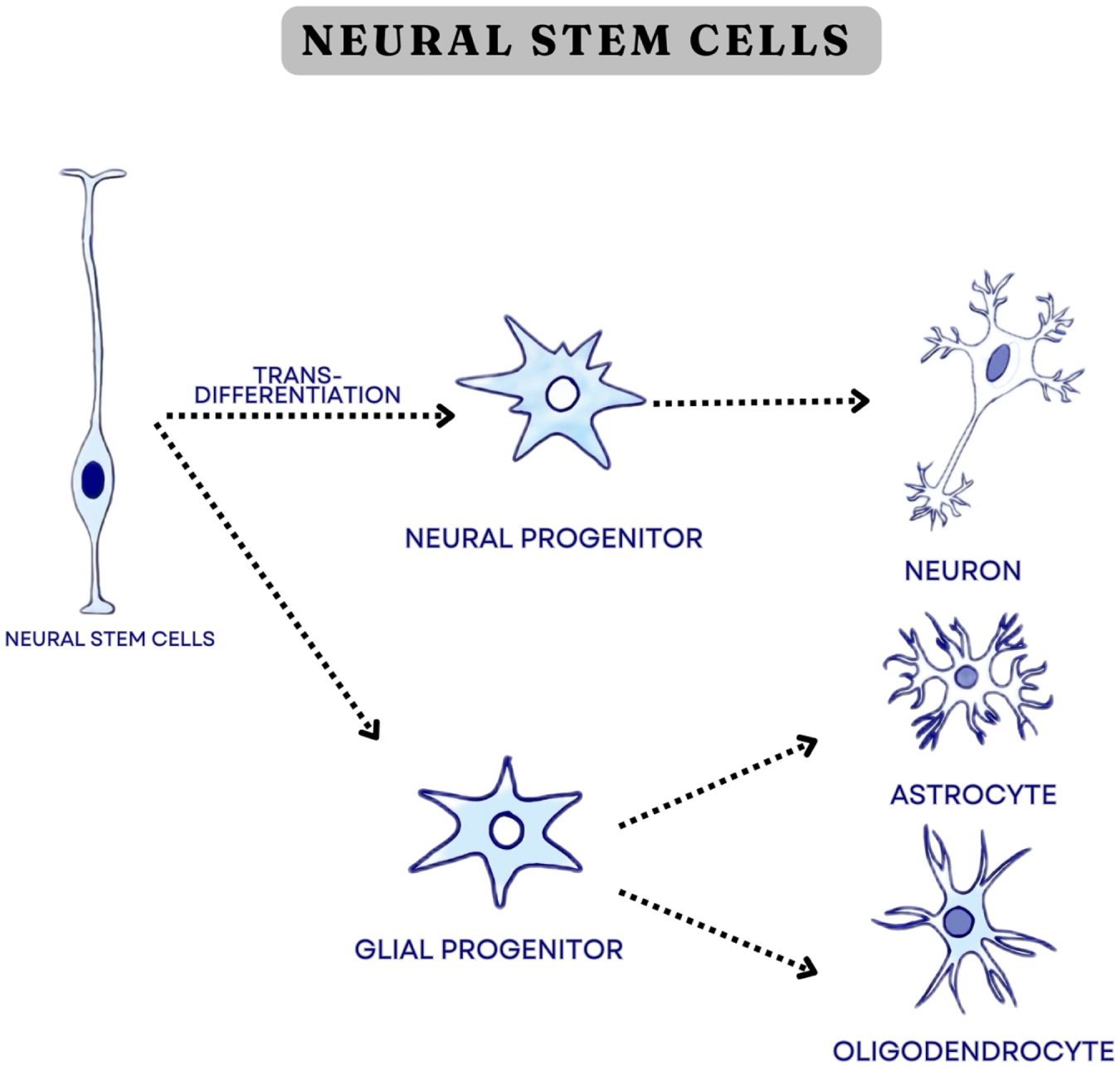 Original.01845215 202602000 00043.F3