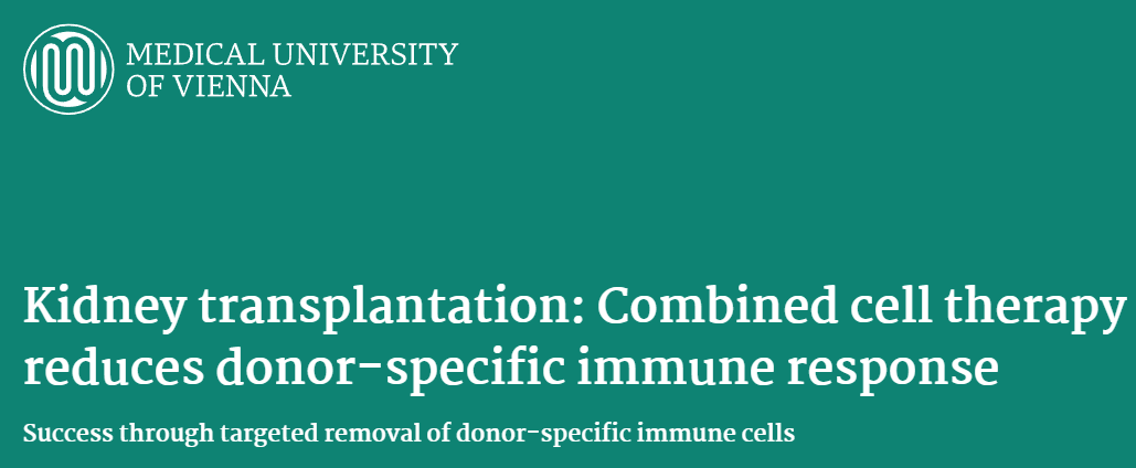 肾移植:联合细胞疗法可降低供体特异性免疫反应 肾移植:联合细胞疗法可降低供体特异性免疫反应