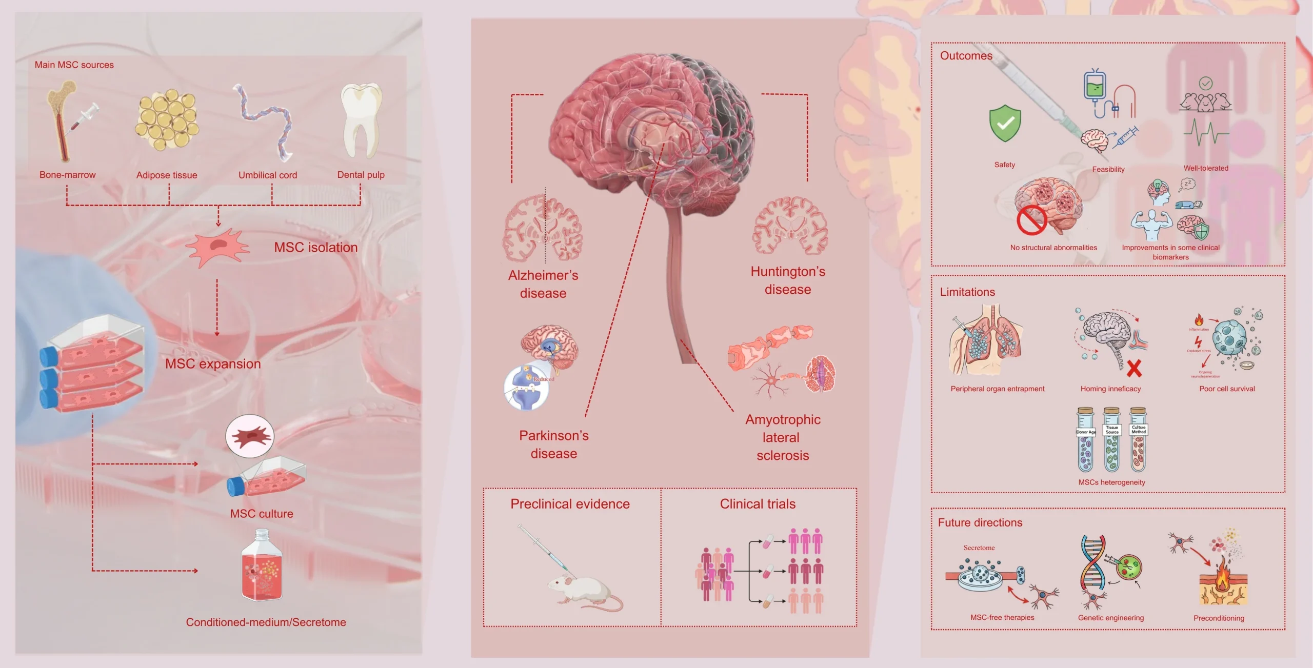 biomedicines 14 00475 ag scaled