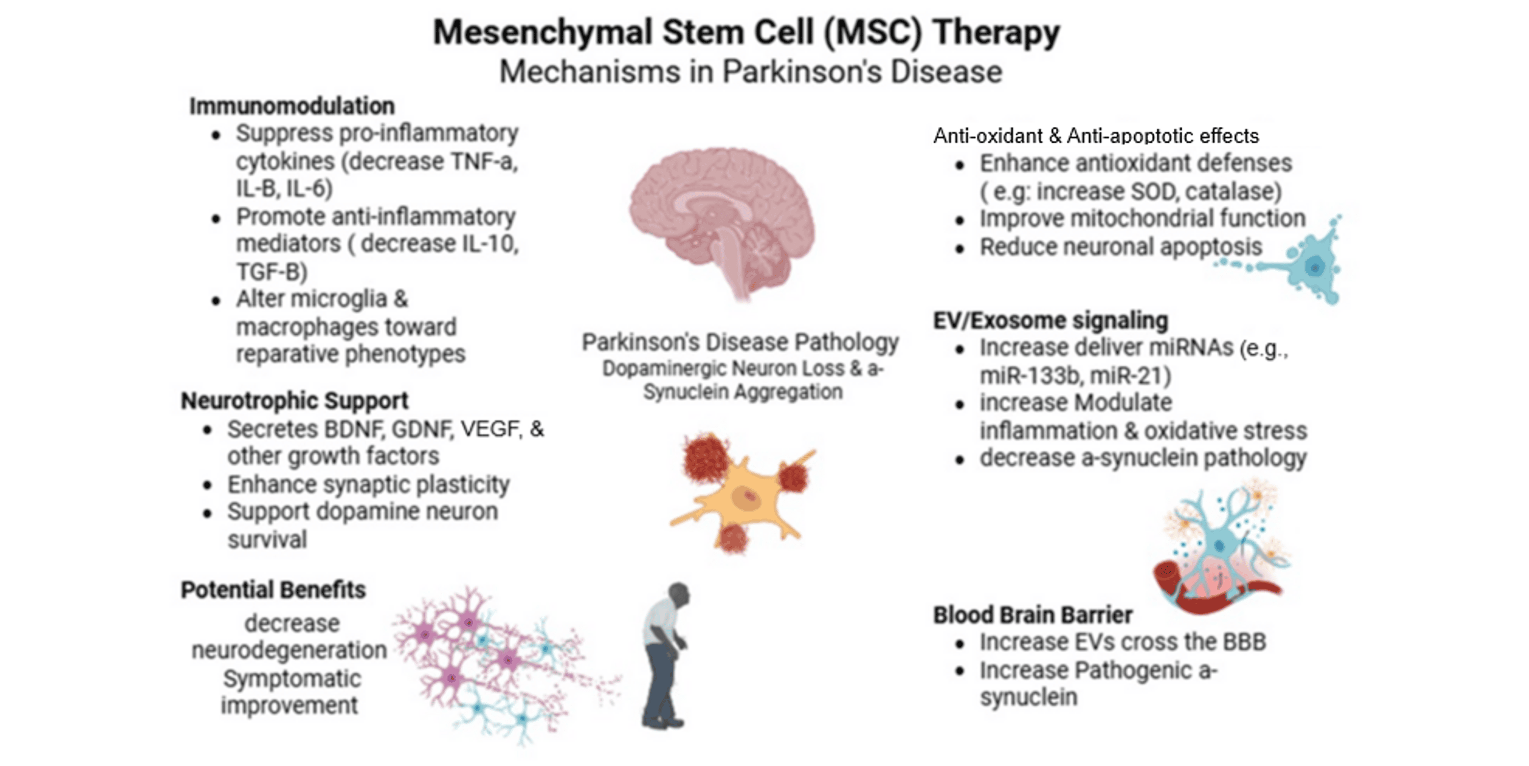从生物学原理到关键临床试验:间充质干细胞治疗帕金森病领域的应用现状与挑战 4 lightbox 605c7b501f7e11f1bd53193e8967d4f2 b5de5c601ea211f1b42f1ff256551b11 d073f860167211f1a28739f4deaa2489 Figure 1 Cureus