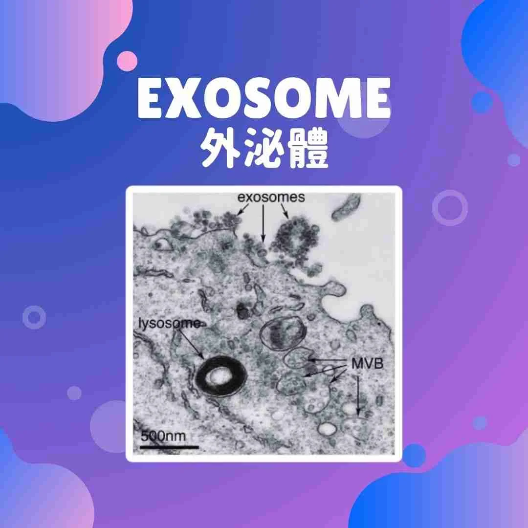 微信图片 2026 03 16 175345 740